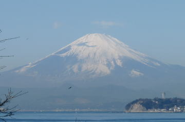 富士山（右手前は江ノ島）2011-01-27逗子市郷土資料館で撮影