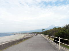 沼津千本松原と富士山