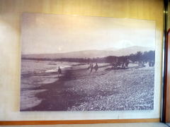 展示室入口に掲げられた牧水沼津居住時の千本松原写真