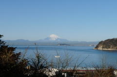 富士山、江ノ島、渚橋が眼下に